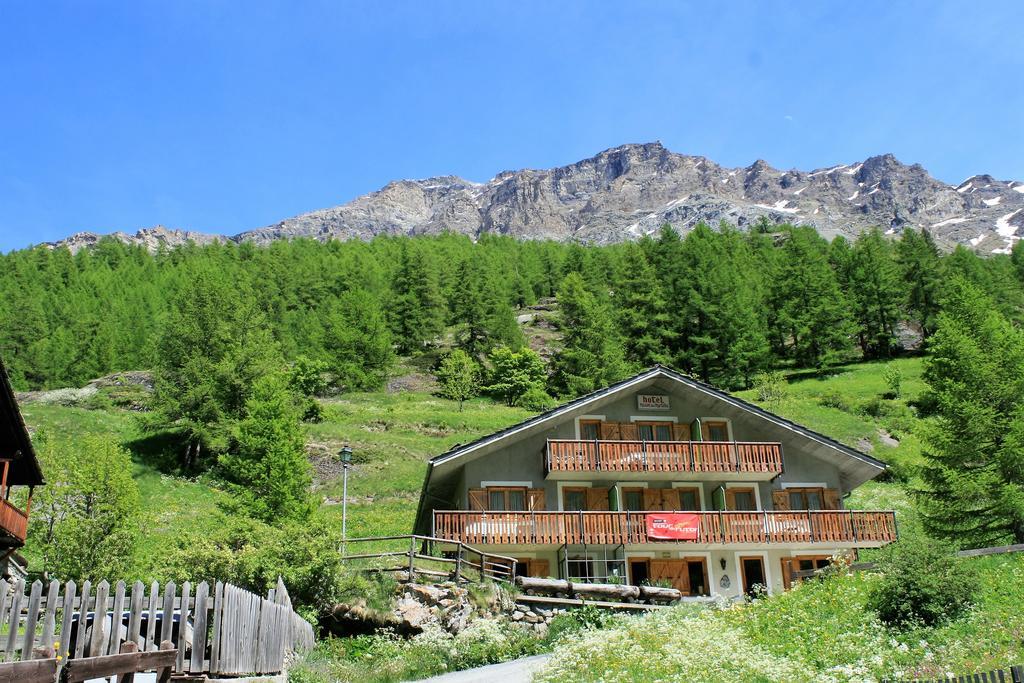 Maison Des Myrtilles Ξενοδοχείο Valgrisenche Εξωτερικό φωτογραφία