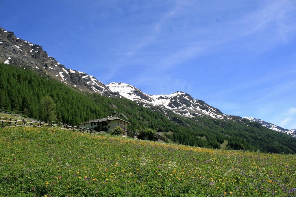 Maison Des Myrtilles Ξενοδοχείο Valgrisenche Εξωτερικό φωτογραφία