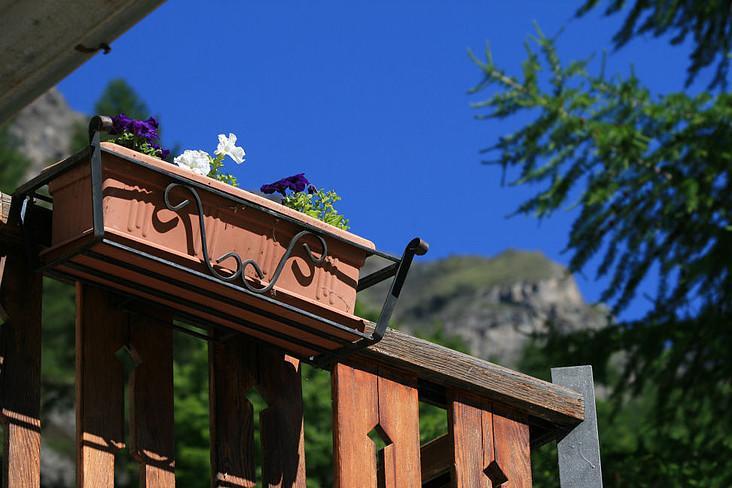 Maison Des Myrtilles Ξενοδοχείο Valgrisenche Εξωτερικό φωτογραφία
